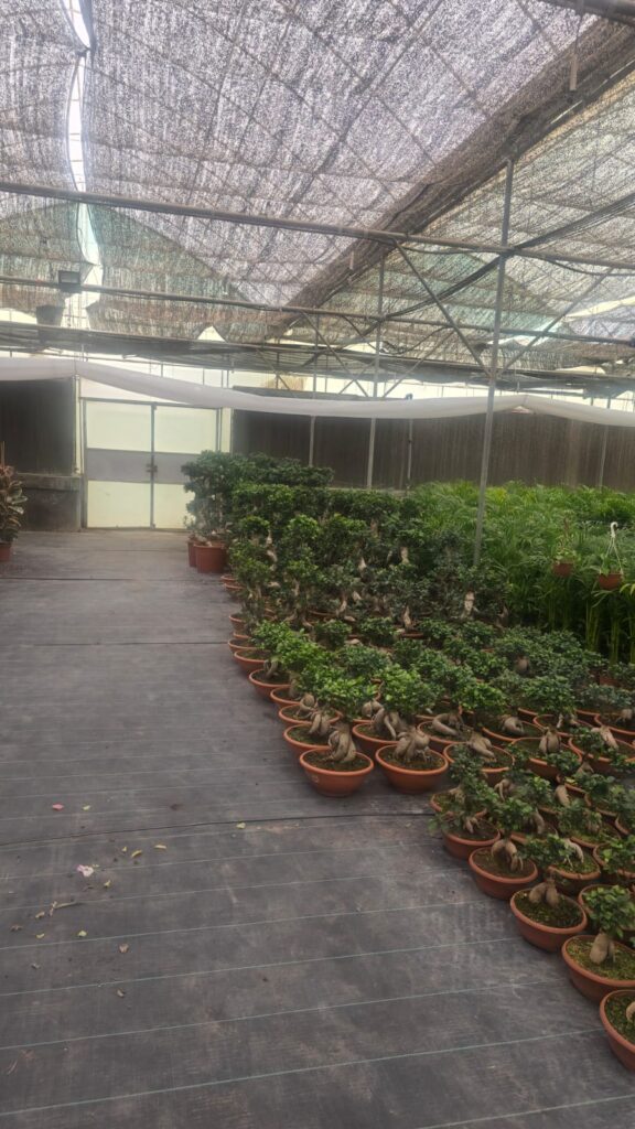 احواض زراعه 11 احواض زراعه – homegardensa.com