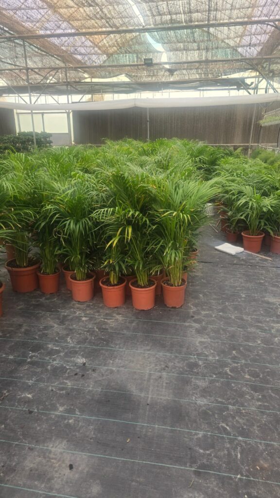 احواض زراعه 13 احواض زراعه – homegardensa.com