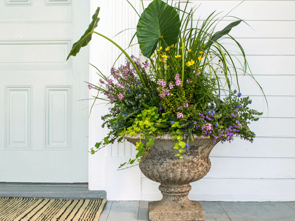 أجمل طرق تنسيق الزهور لحديقة صغيرة تنبض بالحياة &ndash; homegardensa.com