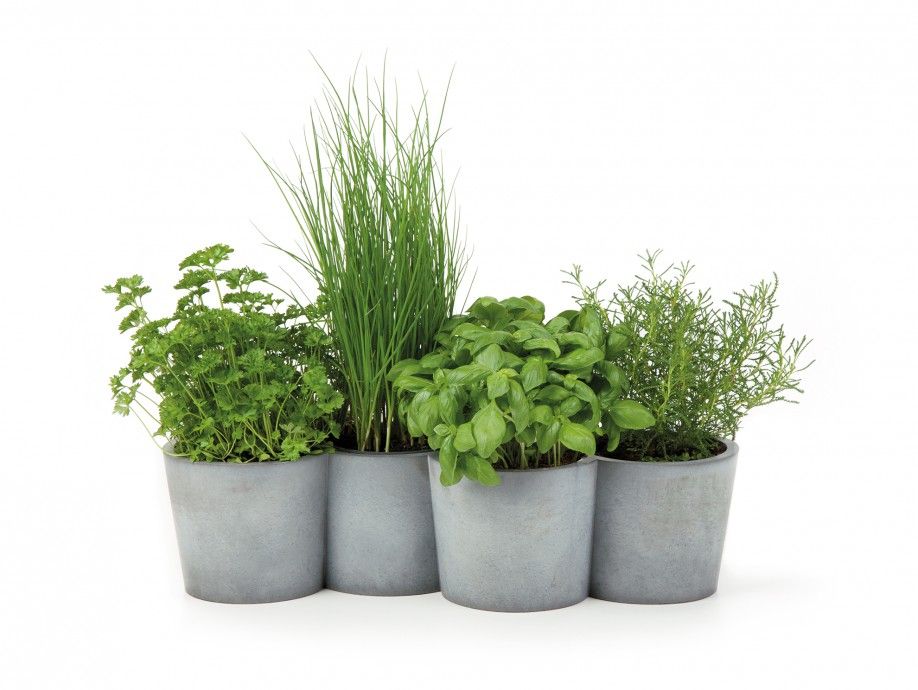 دليلك الكامل لاختيار مشتل وتنسيق حدائق منزلك في المملكة العربية السعودية &ndash; homegardensa.com